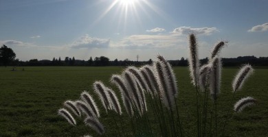 Previsioni Meteo per giovedì 20 marzo: cieli sereni e temperature fino a 13°C