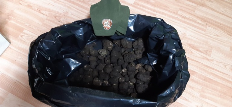 Raccoglie 5 kg di tartufo nel Parco, fermato e denunciato dai Guardiaparco