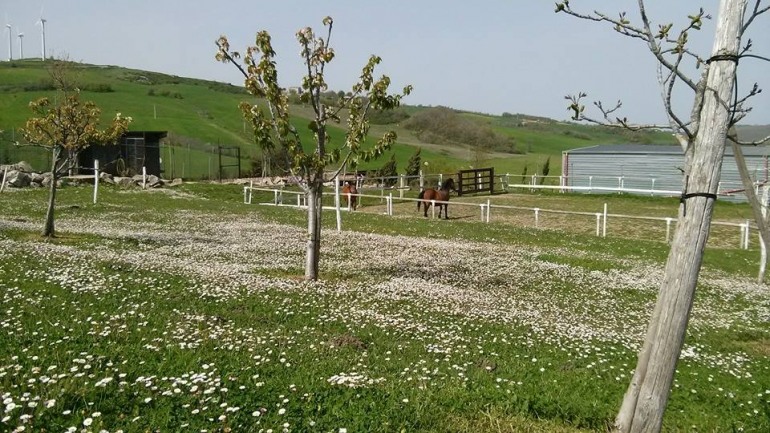 1° Corso di sopravvivenza alle Scuderie del Peschio: “Non sfidare la natura, sfida te stesso”