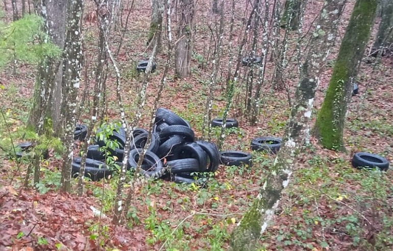 Smaltimento pneumatici usati, il “coglionazzo” li abbandona nel bosco