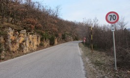 'Salviamo l'Orso': " si rispettino i limiti di velocità sulle strade del Pnalm"