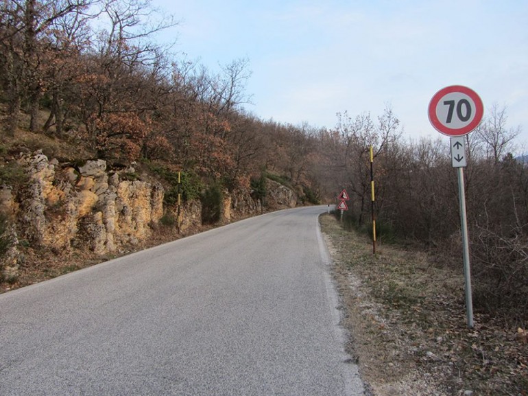 ‘Salviamo l’Orso’: ” si rispettino i limiti di velocità sulle strade del Pnalm”