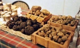 Nasce Federtartufi Molise, Unione degli operatori per promuovere le tipicità