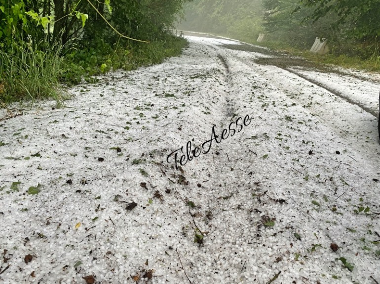 Tempesta di grandine in Alto Sangro e Alto Molise, la vegetazione è stata distrutta