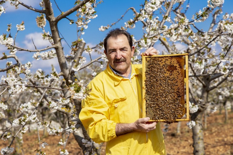 Il miele abruzzese sbanca a Singapore con l’apicoltura Luca Finocchio