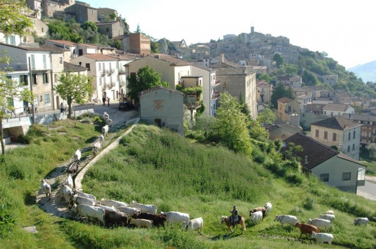 4 giorni di transumanza dal Molise alla Puglia con i Colantuono di Frosolone