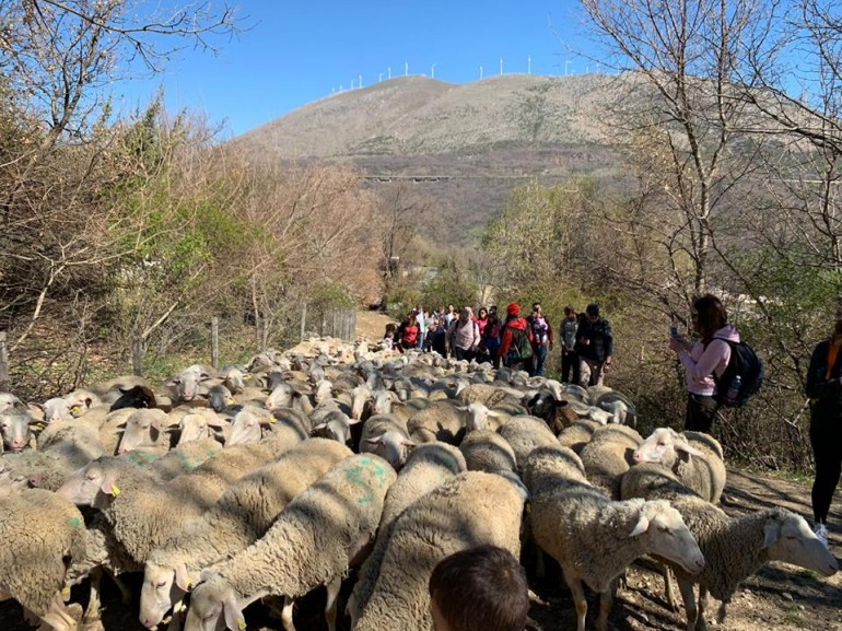 Anversa degli Abruzzi, al via le prenotazioni per la transumanza 2019