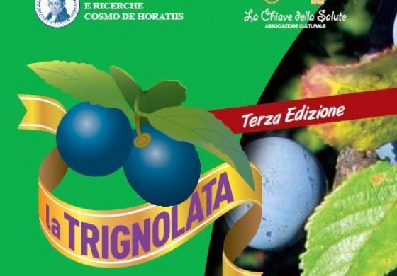 Bagnoli del Trigno,  "Prunus spinosa" sul palcoscenico della Trignolata