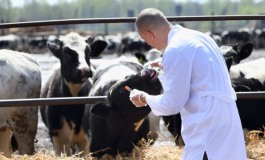 Asrem, organici precari. Coscienza Civica: "A rischio le aziende agricole"