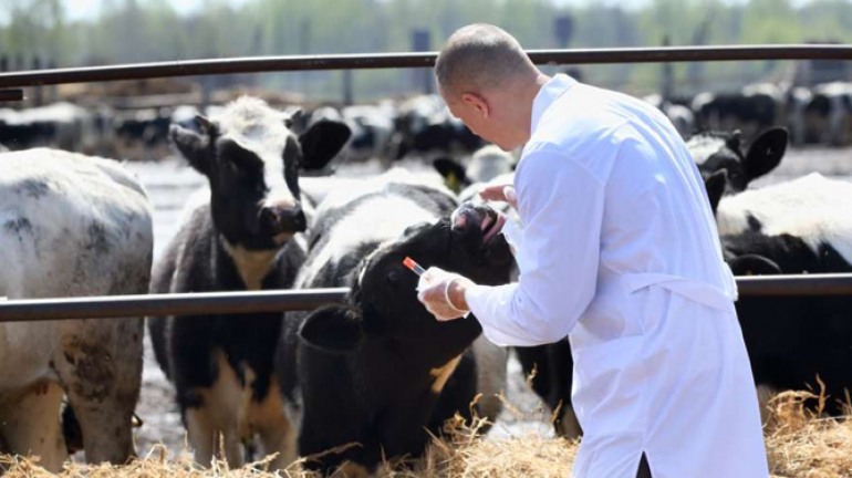 Asrem, organici precari. Coscienza Civica: “A rischio le aziende agricole”