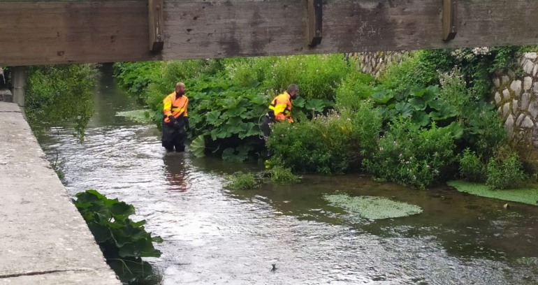 Castel di Sangro, due cani finiscono dentro al fiume: salvati dai Vigili del Fuoco