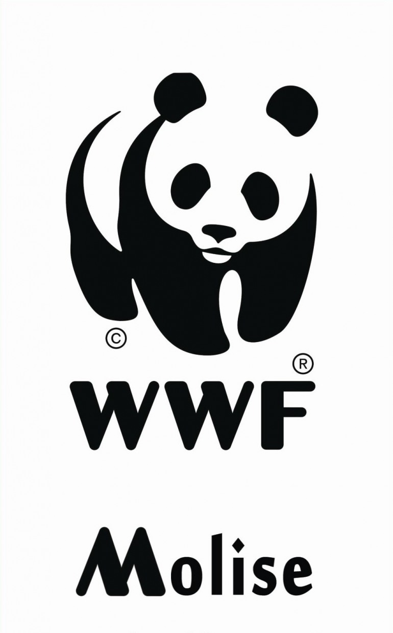 Wwf Molise sensibilizza al clima e lancia campagna “Ora Polare”