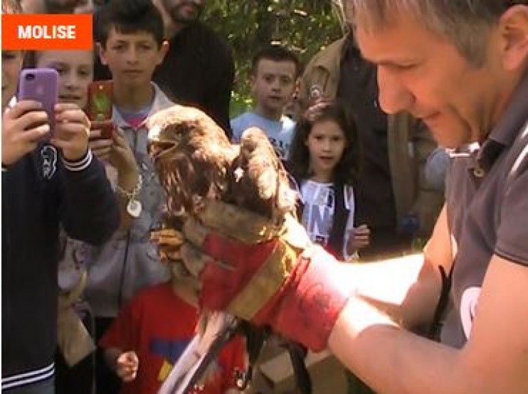 Festa Oasi wwf, in Molise apre Guardiaregia- Campochiaro